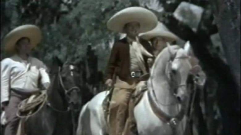 Stray Bullet (1960)