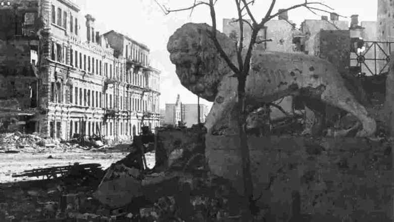 Stalingrad - Stimmen Aus Ruinen (2023)