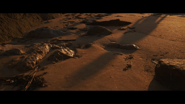 Una Playa (2025)