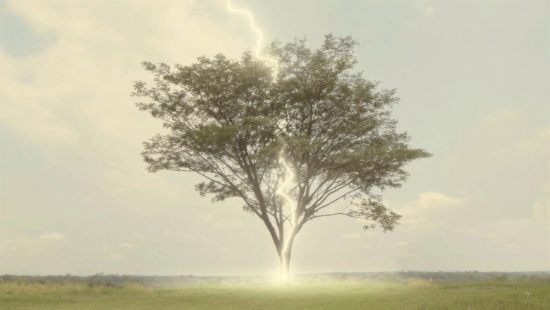 The Boy Who Dreamed Of Lightning (2023)