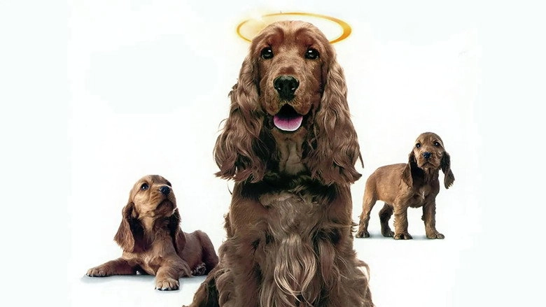 Miracle Dogs Too (2006)