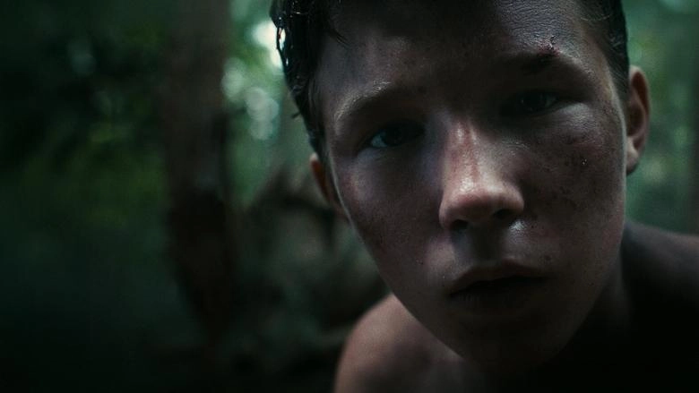 Lost On A Mountain In Maine (2024)