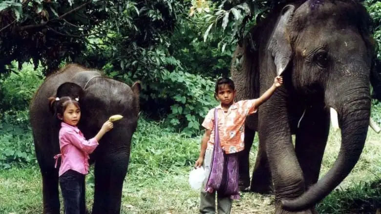 The Elephant Boy (2003)