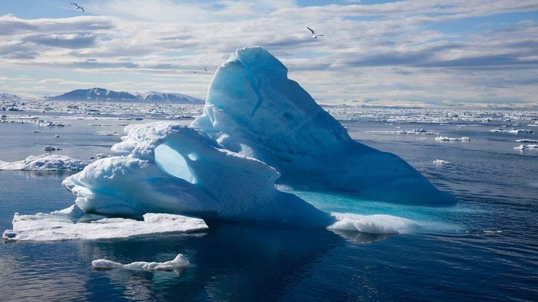 To The Arctic 3D (2012)