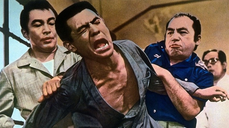 Mamushi No Kyodai: Orei Mairi (1971)