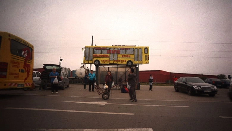 Anul Dragonului (2013)