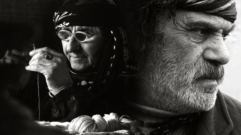 The Last Winter (2012)