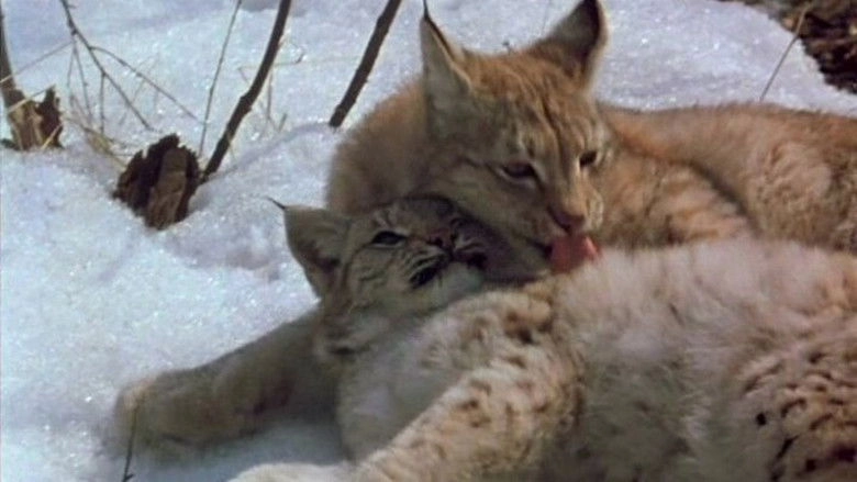 Rys Vozvrashchayetsya (1987)