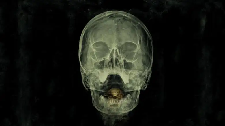 The Bay (2012)