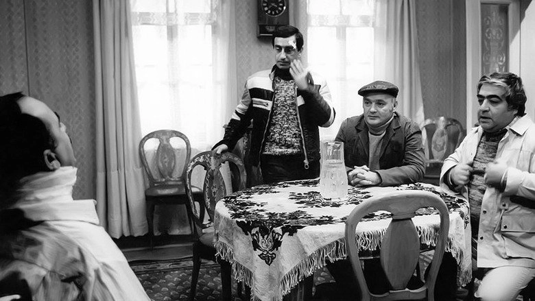 Bayin Ogurlanmasi (1985)