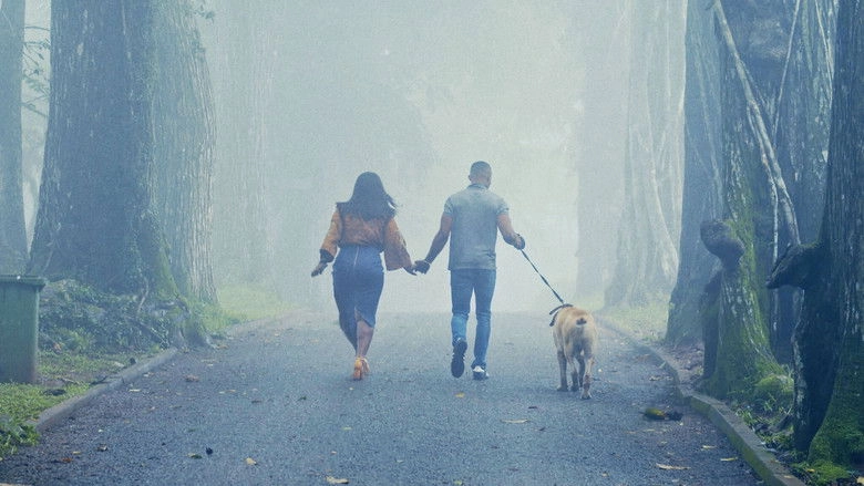 The Perfect Picture: Ten Years Later (2019)