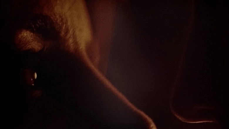 Segredo De Matar (2014)