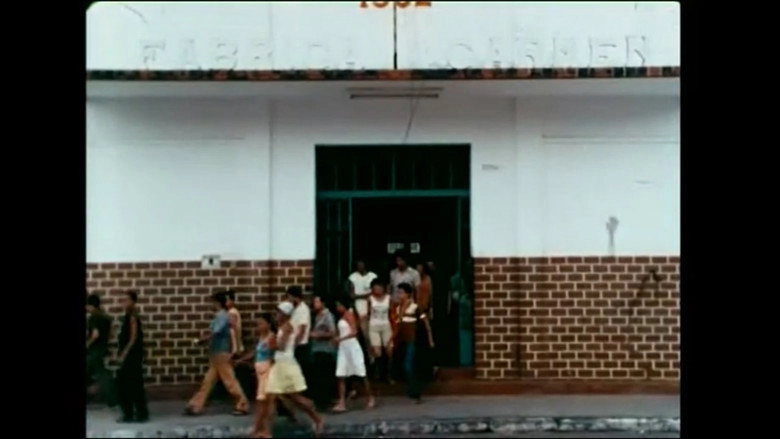 Memorias Da Vida E Do Trabalho (1984)