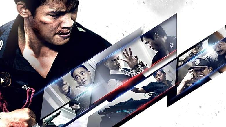 Kill Zone 2 (2015)