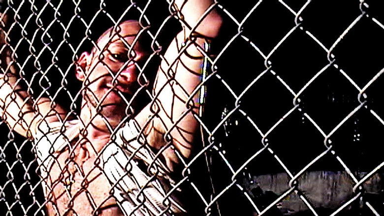 Xx: Where Your Heart Should Be (2007)