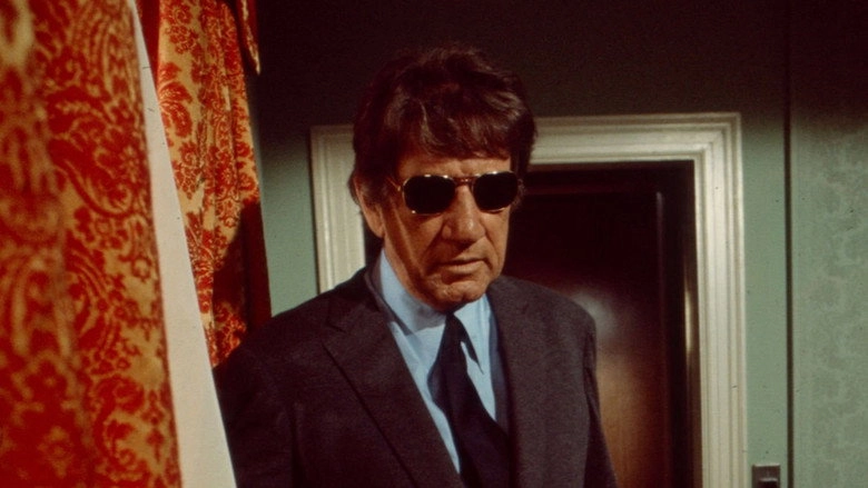 In Broad Daylight (1971)
