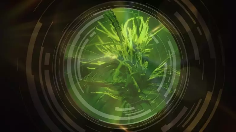 National Geographic Investigates: Legal Marijuana In America (2023)