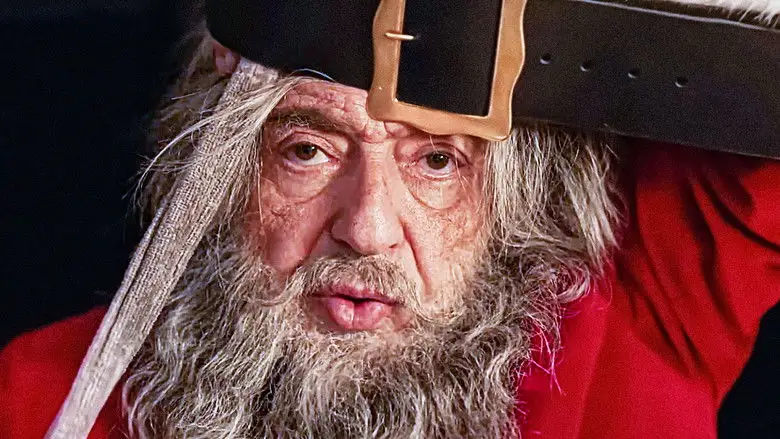 A La Poursuite Du Pere Noel ! (2025)