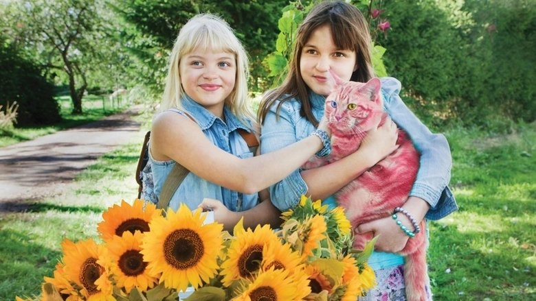 Onneli, Anneli Ja Salaperainen Muukalainen (2017)