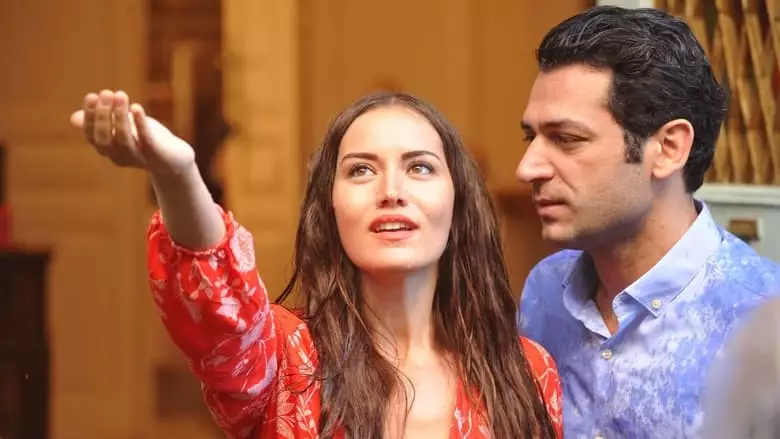 Sonsuz Ask (2017)