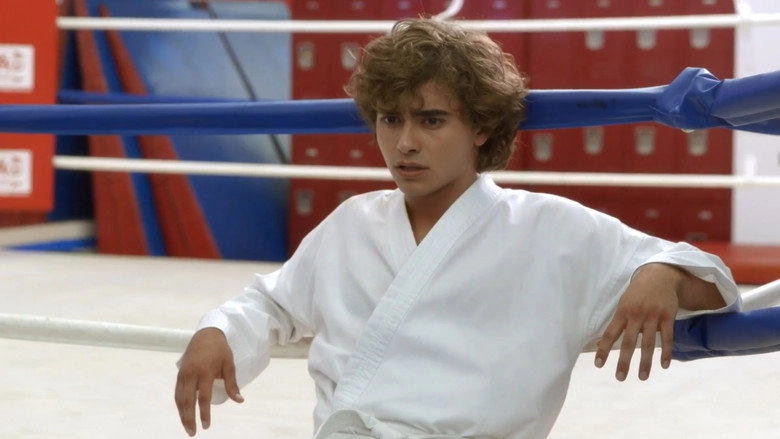 The Martial Arts Kid (2015)