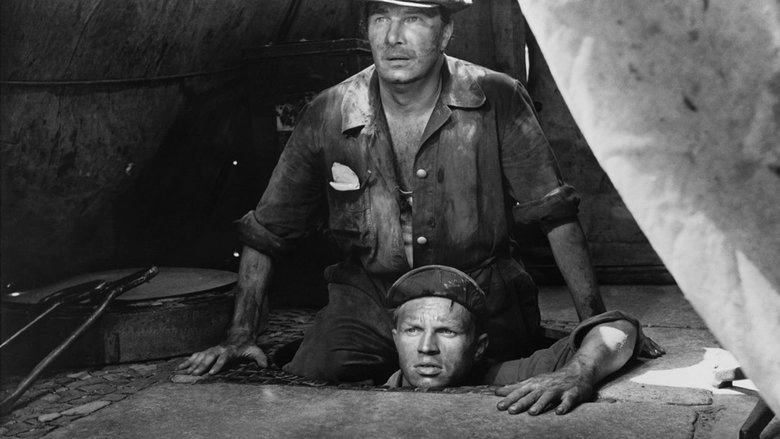 Banktresor 713 (1958)