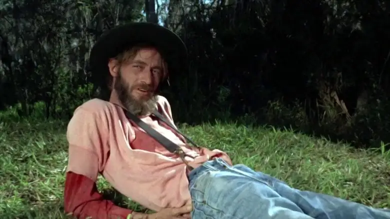 Cottonpickin' Chickenpickers (1967)