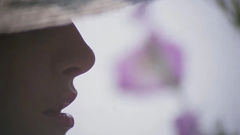 Aberraciones Sexuales De Una Mujer Casada (1981)