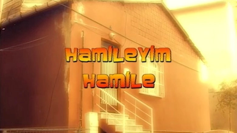 Hamileyim Hamile (2009)