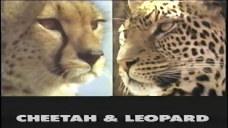 Predators Of The Wild: Cheetah And Leopard (1992)
