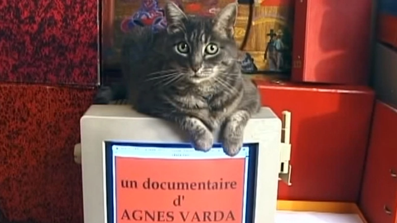 Homage To Zgougou The Cat (2002)