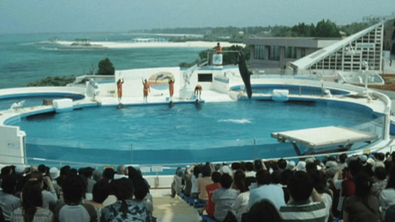 Dolphin Blue: Fuji, Mou Ichido Sora E (2007)