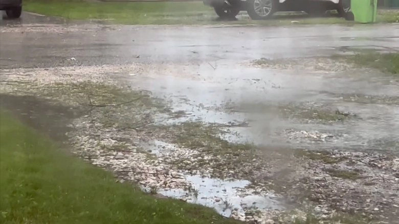 Drizzle Of The Rain (2024)