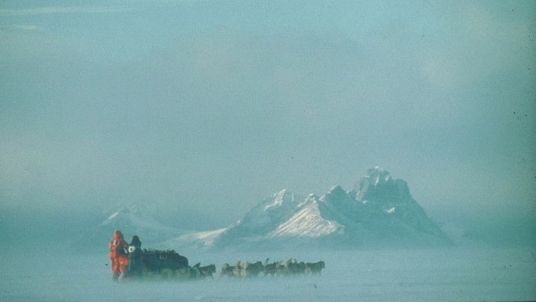 Au Sud Du Sud (1992)