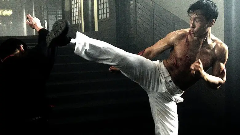 Legend Of The Fist: The Return Of Chen Zhen (2010)