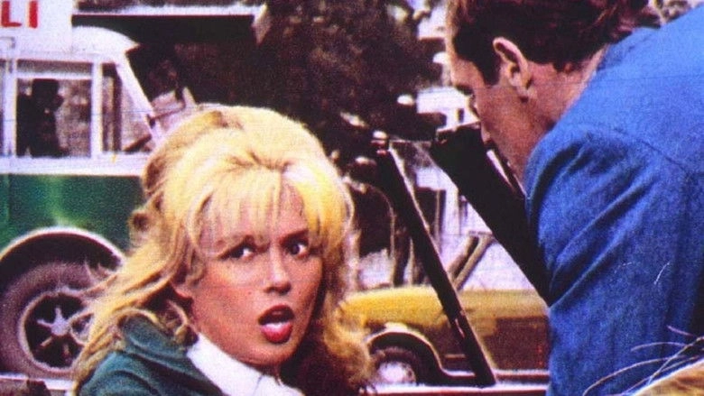 The Almost Perfect Crime (1966)