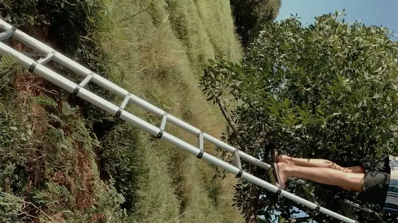 Rotasi (2021)