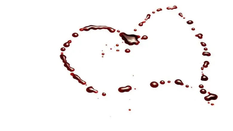 Drawn In Blood (2006)
