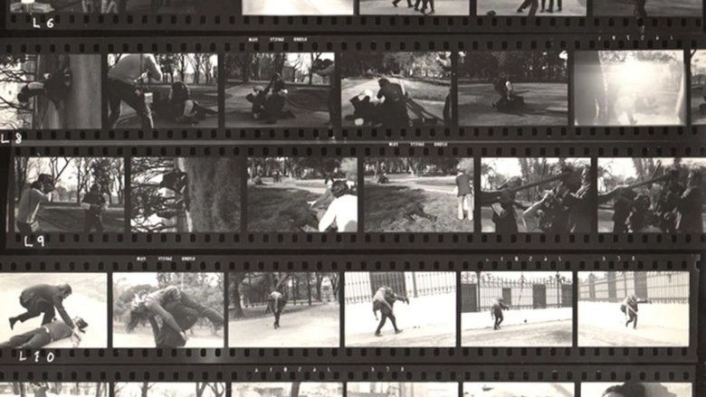 Fragmentos rebelados (2018)