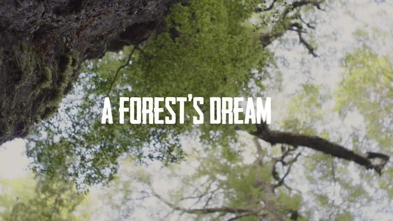 A Forest's Dream (2021)