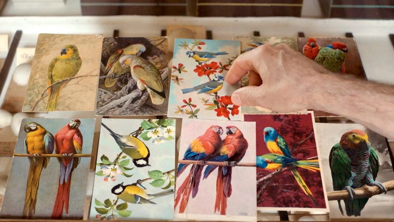 Langue Des Oiseaux (2022)
