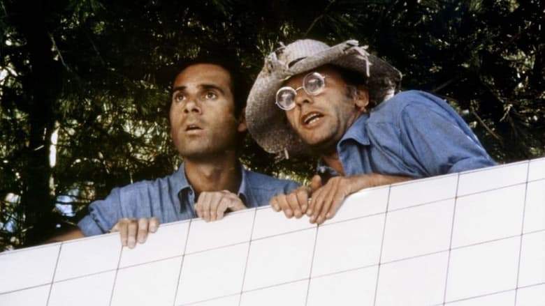 Le Maitre Nageur (1979)