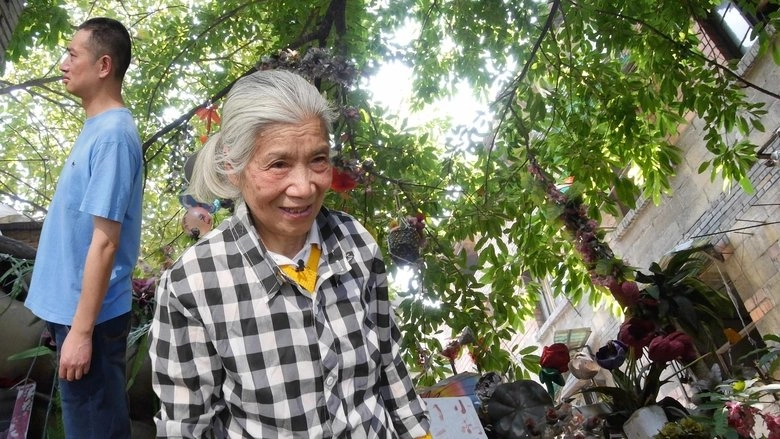 Ms. Hu's Garden (2025)