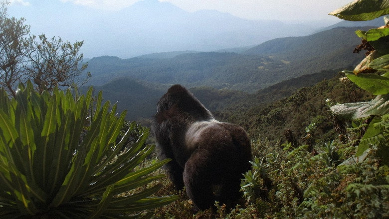 A Gorilla Story: Told By David Attenborough (2026)