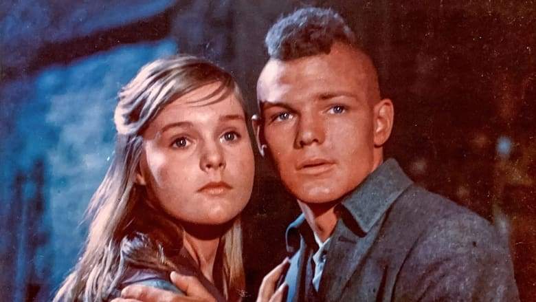 The Light In The Forest (1958)