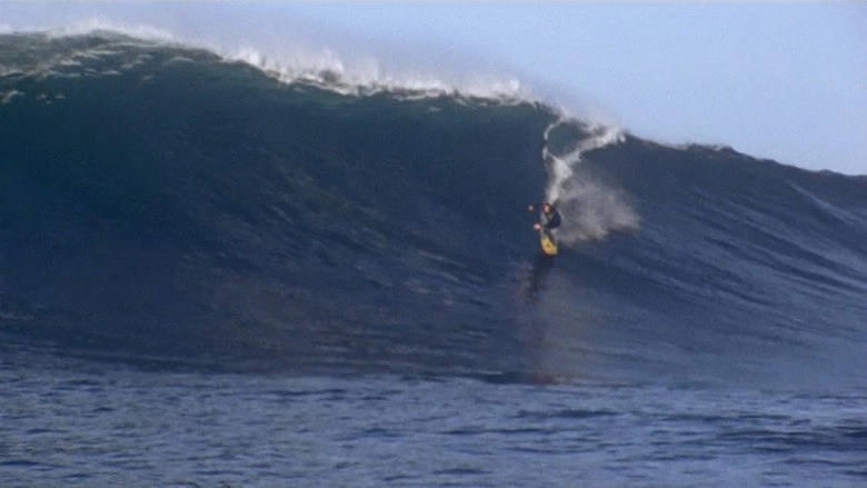 Billabong Odyssey (2003)