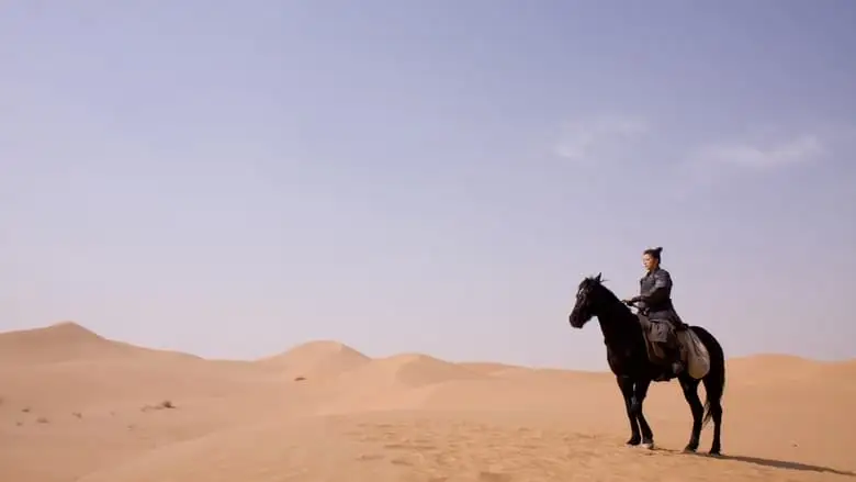 Mulan: Rise Of A Warrior (2009)