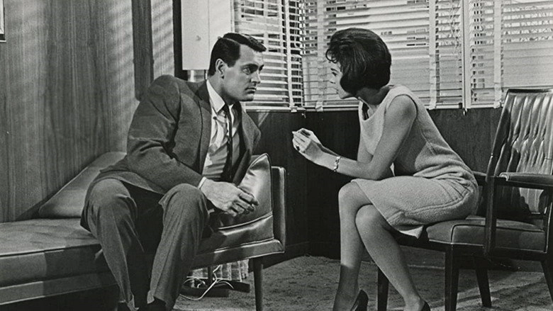 A Very Special Favor (1965)