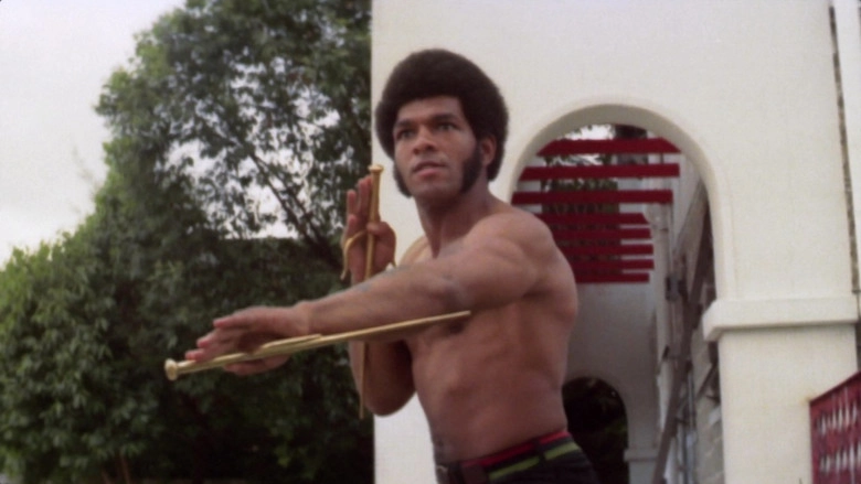 The Black Dragon's Revenge (1975)