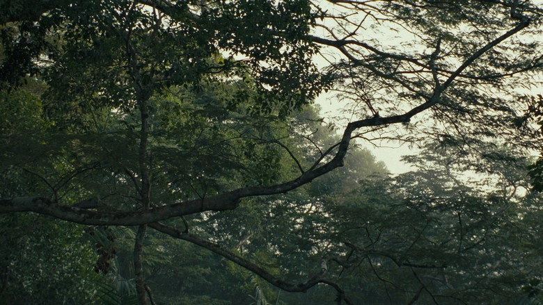 Captive (2026)